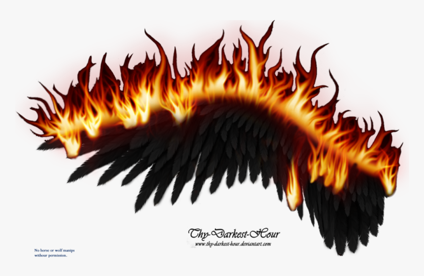 Black Wings On Fire, HD Png Download
