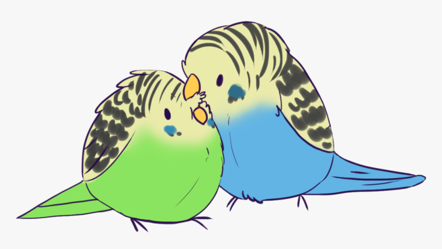 Birds Drawing Cute - Budgerigar Drawing, HD Png Download