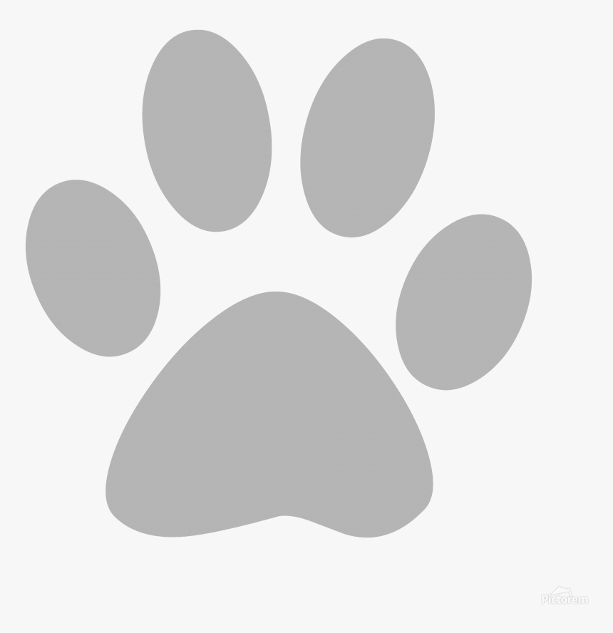 Transparent Cat Paw Print, HD Png Download , Transparent Png Image ...