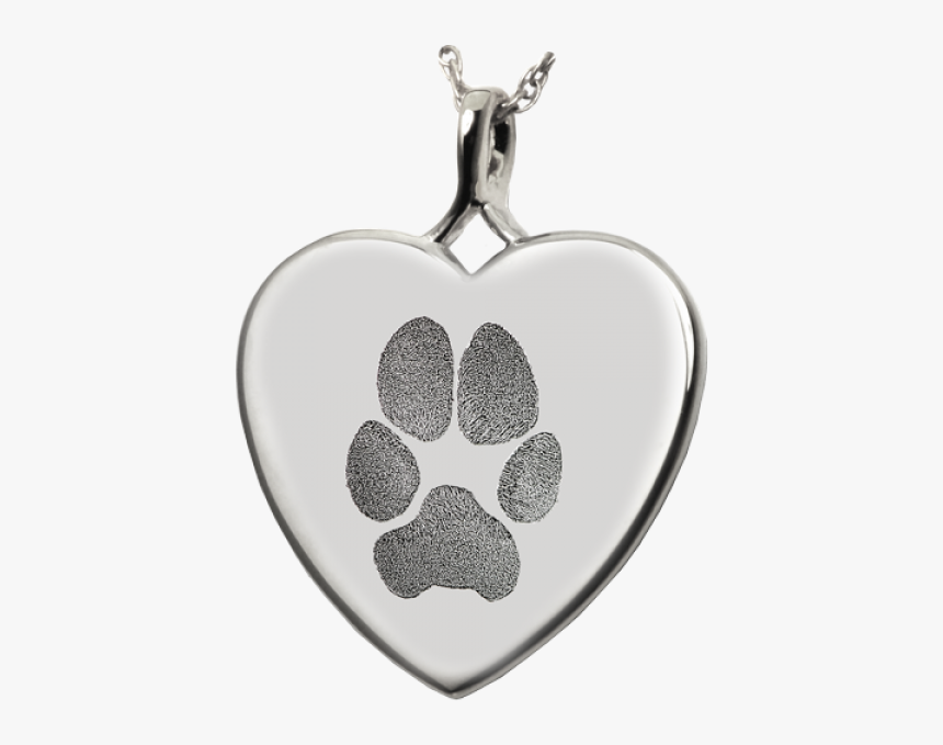 Jewellery, HD Png Download