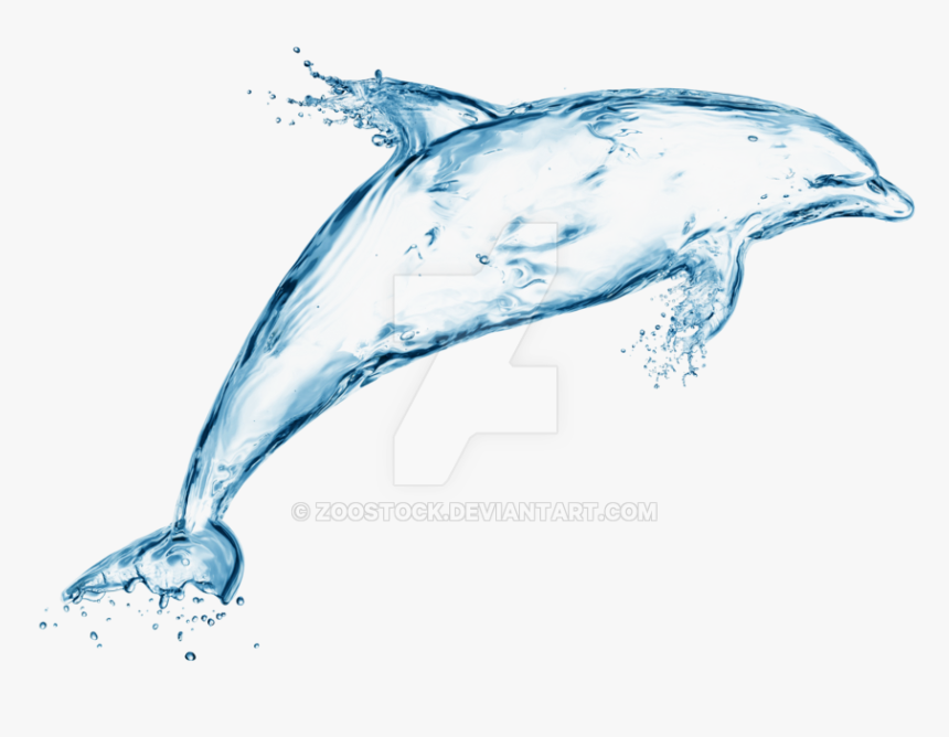 Dolphin Of Water On A Transparent Background By Zoostock - Water Transparent Dolphin Png, Png Download