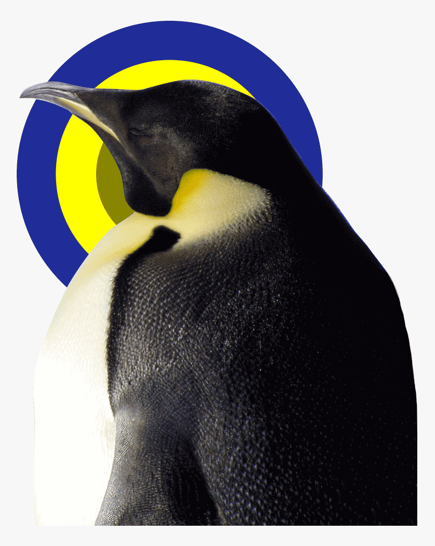 Mad Dimension - King Penguin, HD Png Download