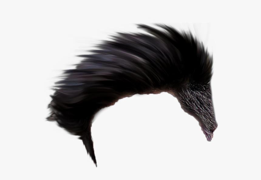 Png Pic Picsart Happy New Year 2020, Transparent Png