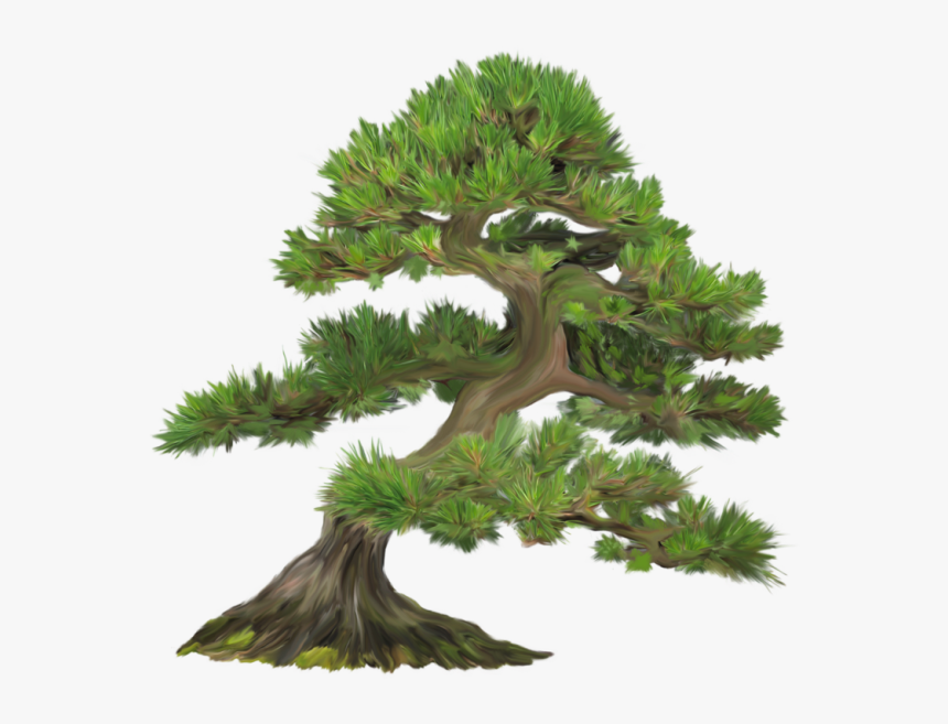 Thumb Image - Казка Дерево До Неба, HD Png Download