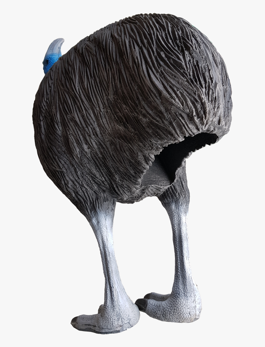 Emu, HD Png Download
