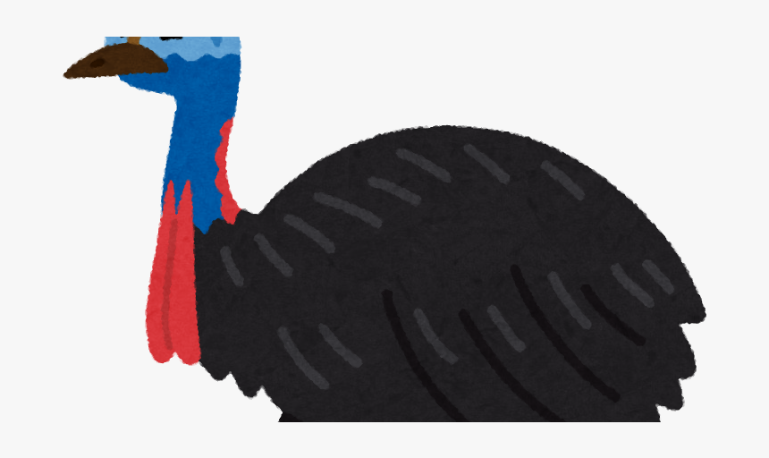 ヒクイドリのイラスト - ヒクイドリ フリー 素材, HD Png Download