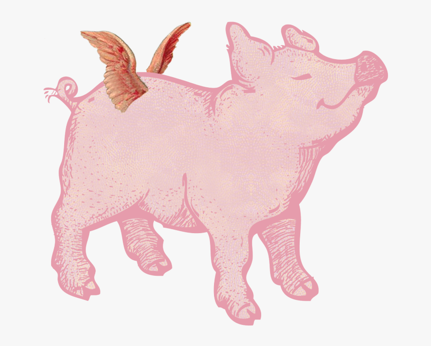 Merry Bright Christmas Pigs - Pig With Wings Transparent, HD Png Download