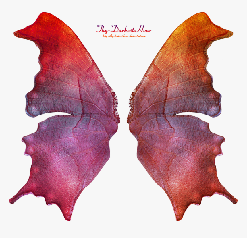 Tattered Fairy Wings, HD Png Download