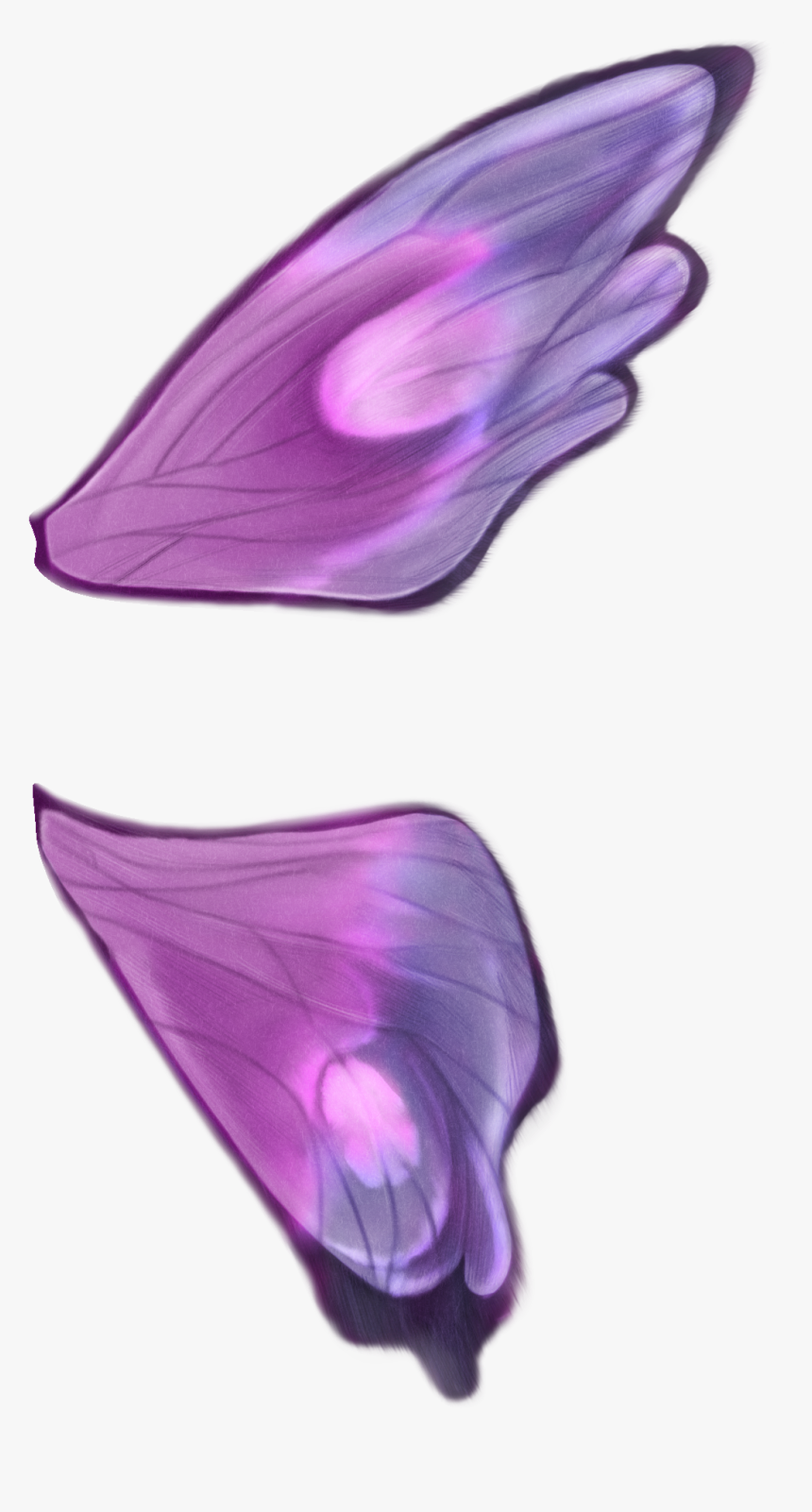 Transparent Butterfly Wings Png - Wavefront .obj File, Png Download