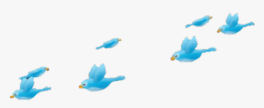 #mac #birdfilter #blue #tumblr #apple #birdcrown
#heartcrown - Blue Bird Crown Png, Transparent Png