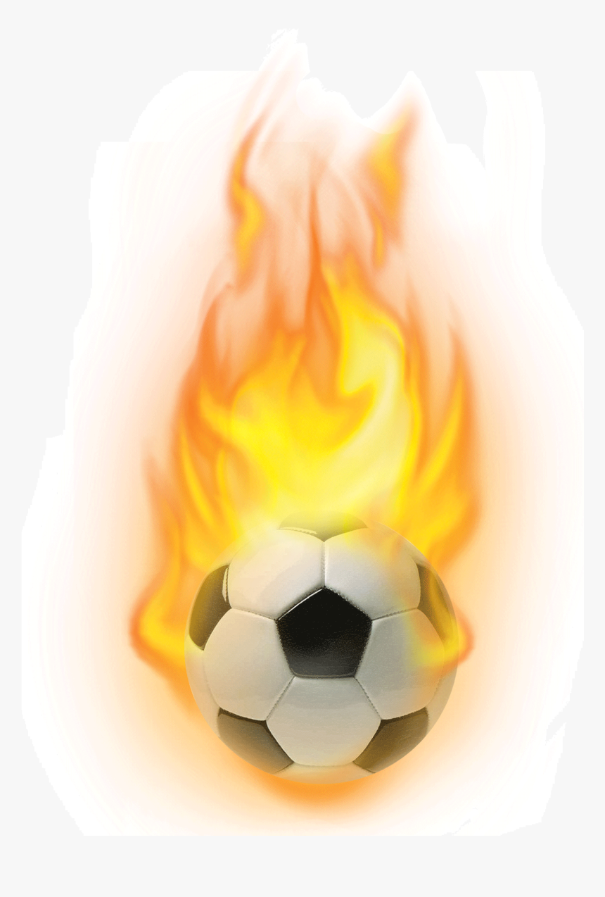 Still Life Photography, HD Png Download