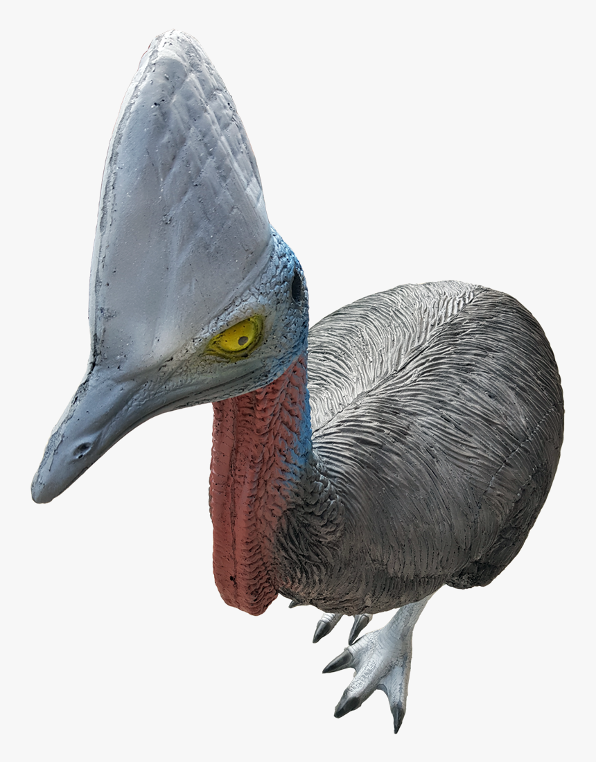 Double Crested Cormorant, HD Png Download