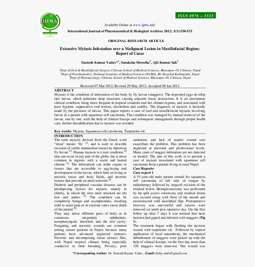 Screenshot, HD Png Download