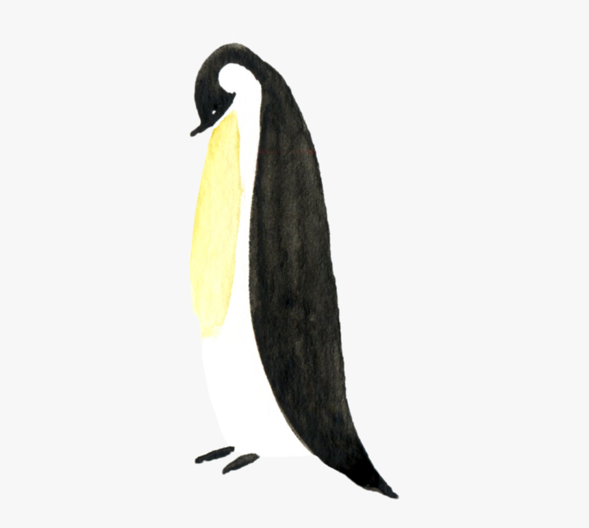 Canada Goose, HD Png Download