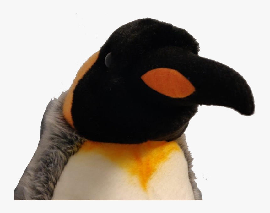 Just One Second - King Penguin, HD Png Download