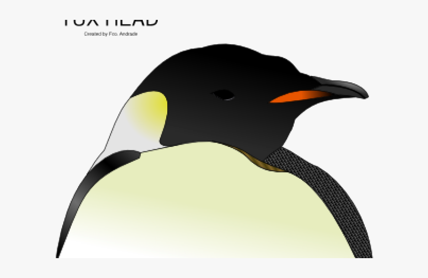 Emperor Penguin Clipart Penguin Head - Penguin Head Clipart, HD Png Download