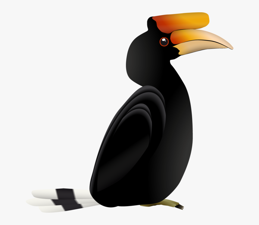 Hornbill, HD Png Download
