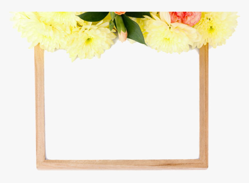 Cut Flowers Picture Frames Petal Floral Design - Flower, HD Png Download