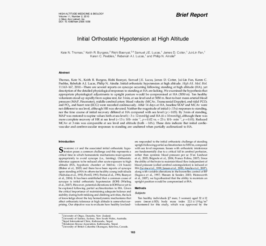 Document, HD Png Download