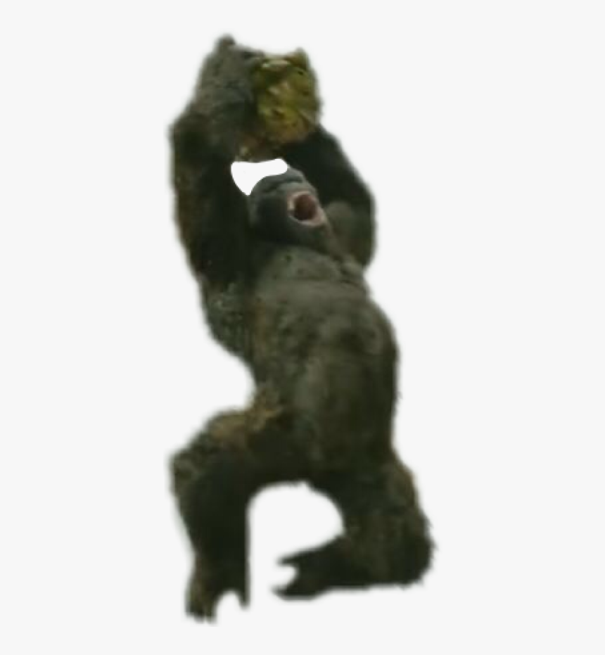 Fox Squirrel, HD Png Download