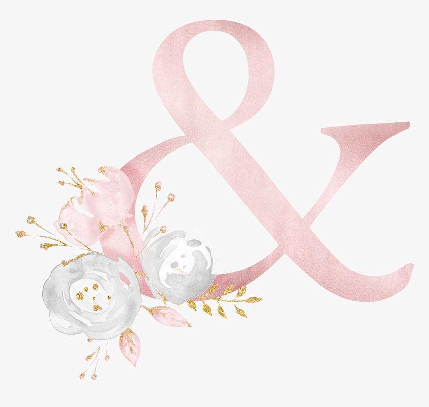 Garden Roses, HD Png Download