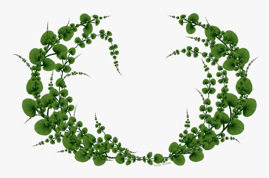 Transparent Floral Wreath Png, Png Download