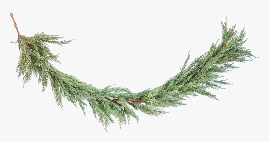 Transparent White Wreath Png - Pond Pine, Png Download