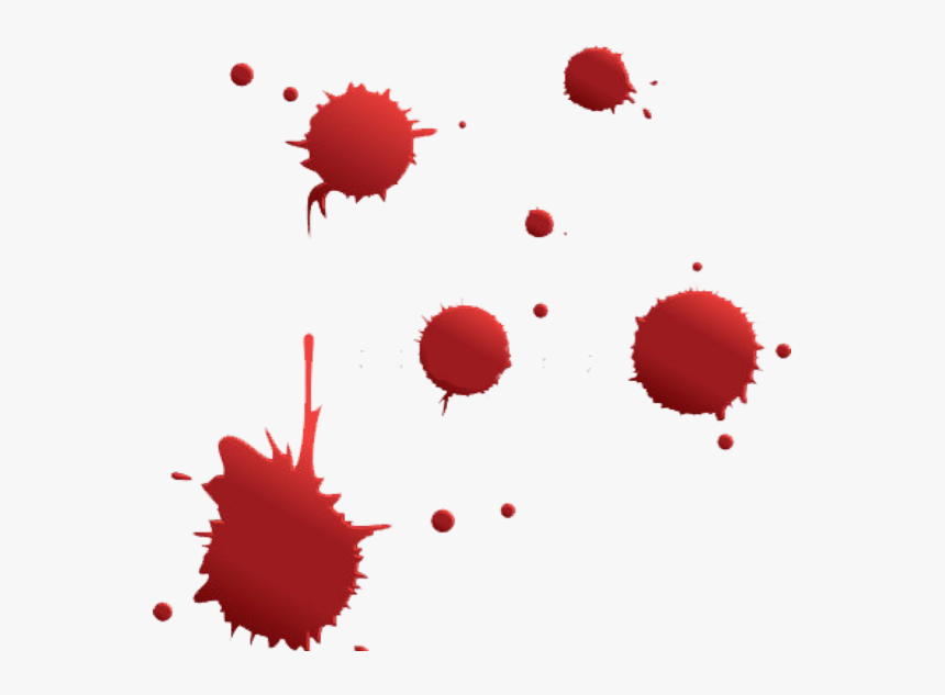 Circle, HD Png Download