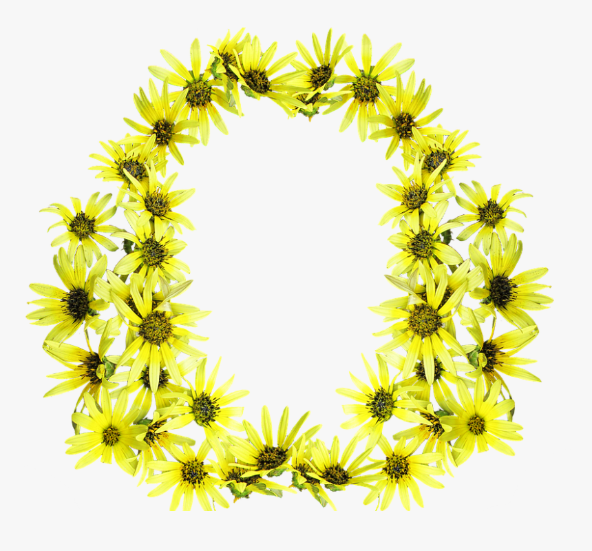 Floral Design, HD Png Download