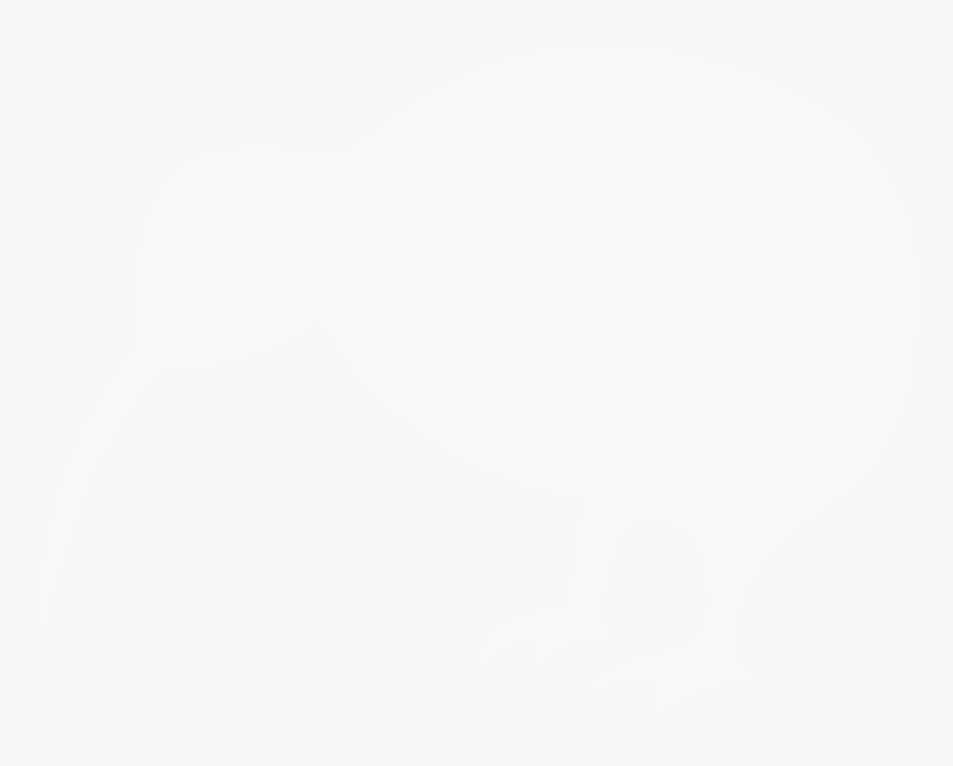 Svg Black And White Stock New Zealand Silhouette At - Kiwi Bird White Png, Transparent Png