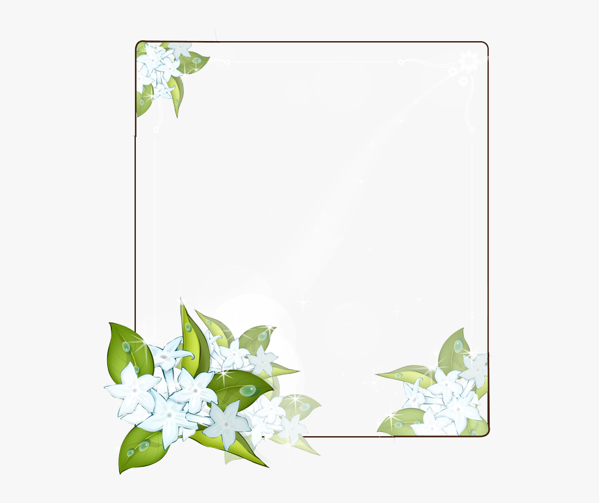 Lily Family, HD Png Download