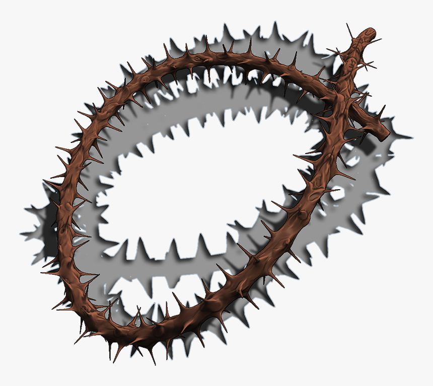 Crown Of Thorns Thorns, Spines, And Prickles Blender - Cartilaginous Fish, HD Png Download