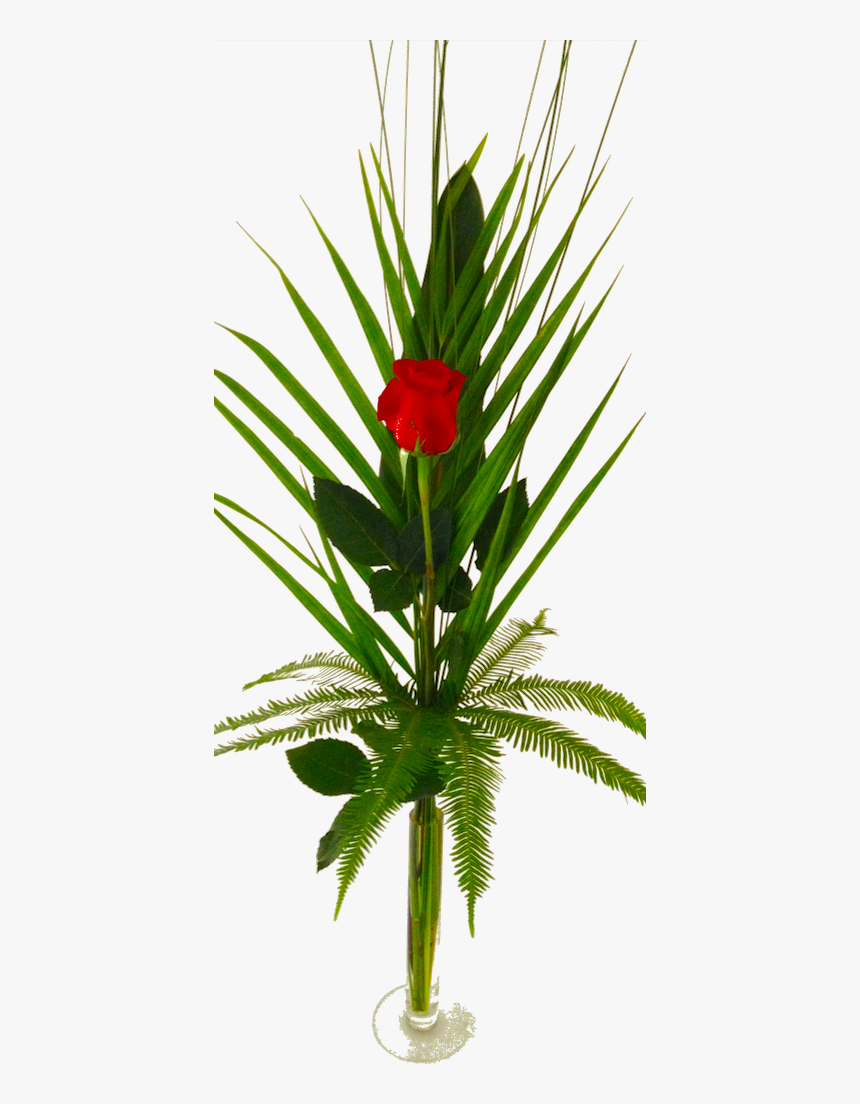 Long-stemmed Single Rose - Crown Of Thorns, HD Png Download