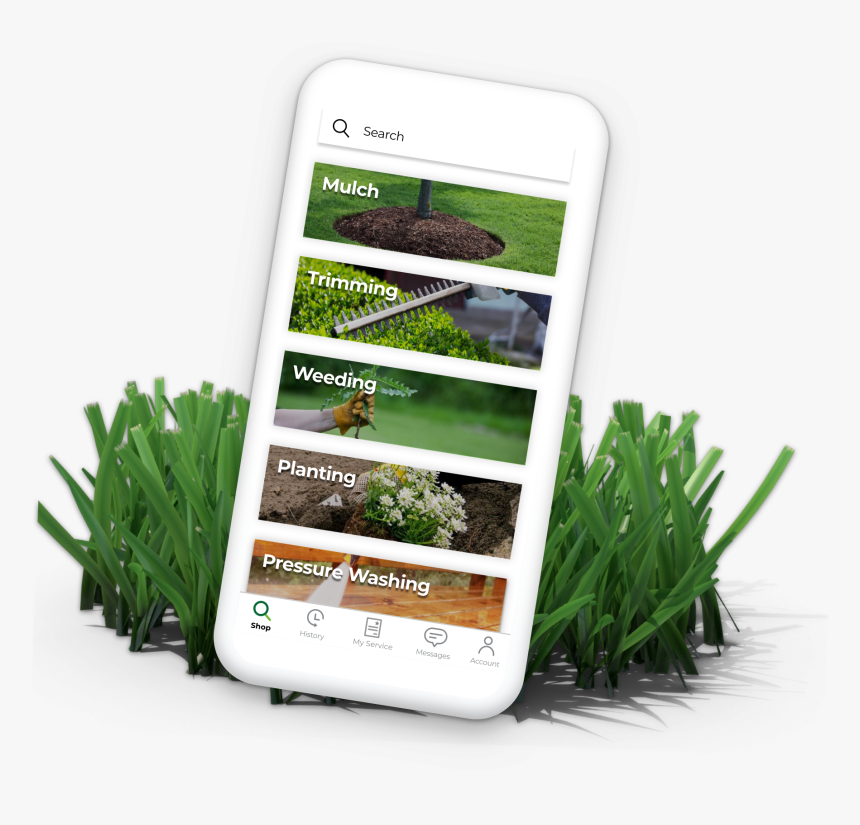 Sweet Grass, Hd Png Download - Sweet Grass, Transparent Png