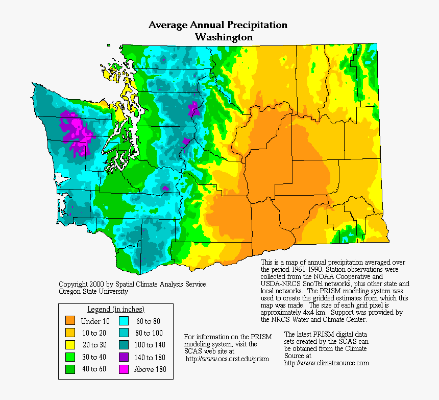 Average Annual Precipitation Washington, HD Png Download