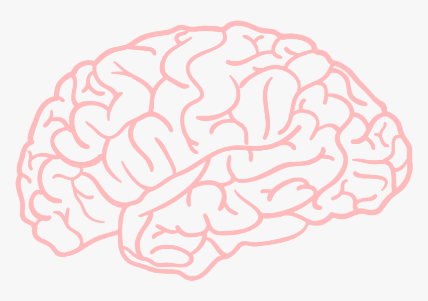 #brain #girl - Brain Png, Transparent Png
