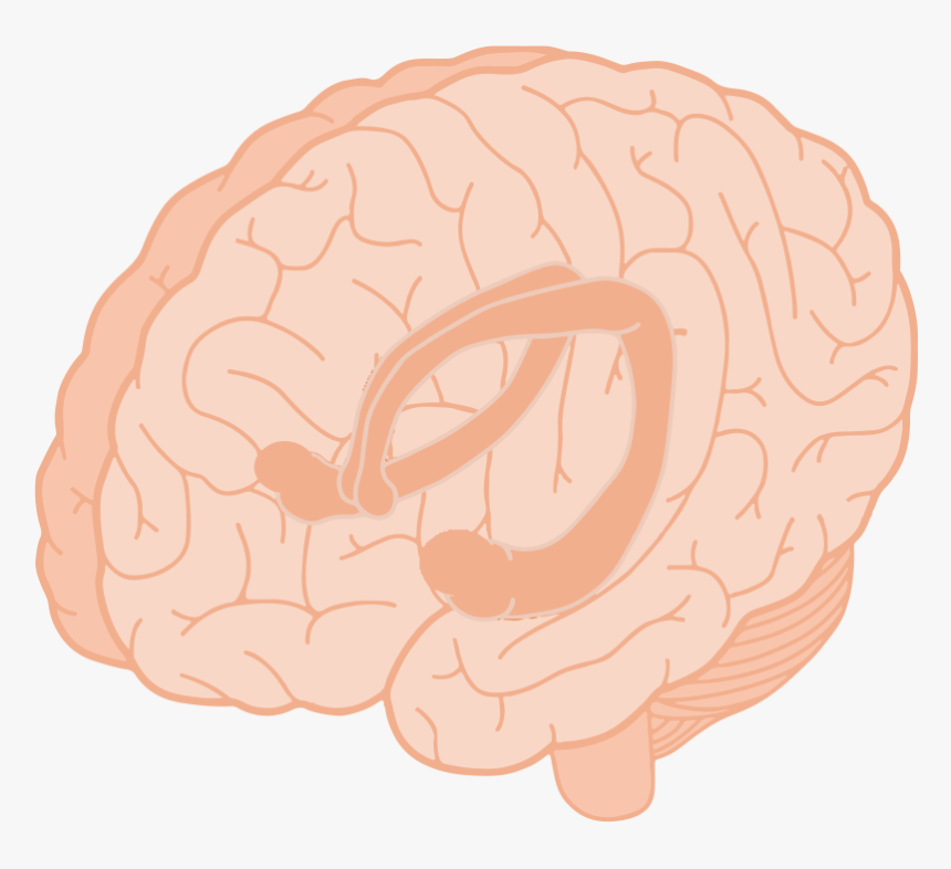 Illustration, HD Png Download