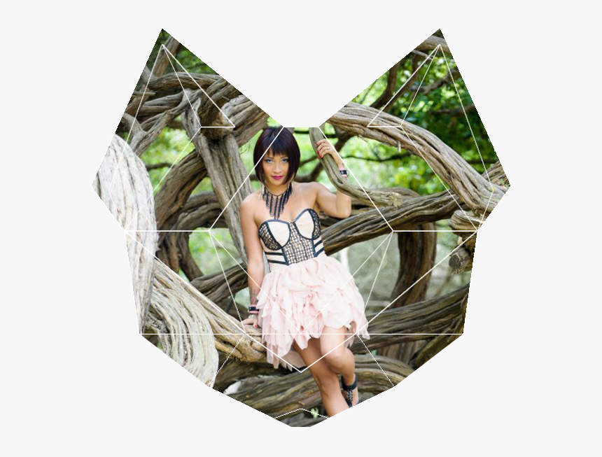 Bio-pic - Photo Shoot, HD Png Download
