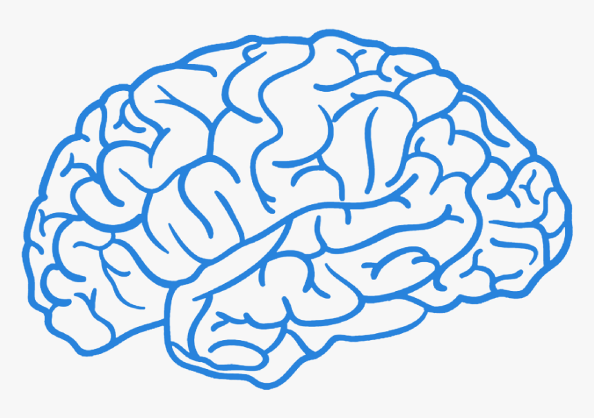 #brain #boy - Brain Png, Transparent Png