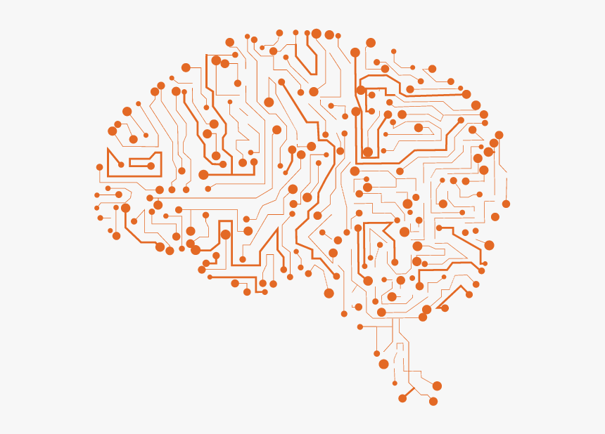 The Role Of The Nmda Receptor In Brain And Nervous - Nervous System Transparent Png, Png Download