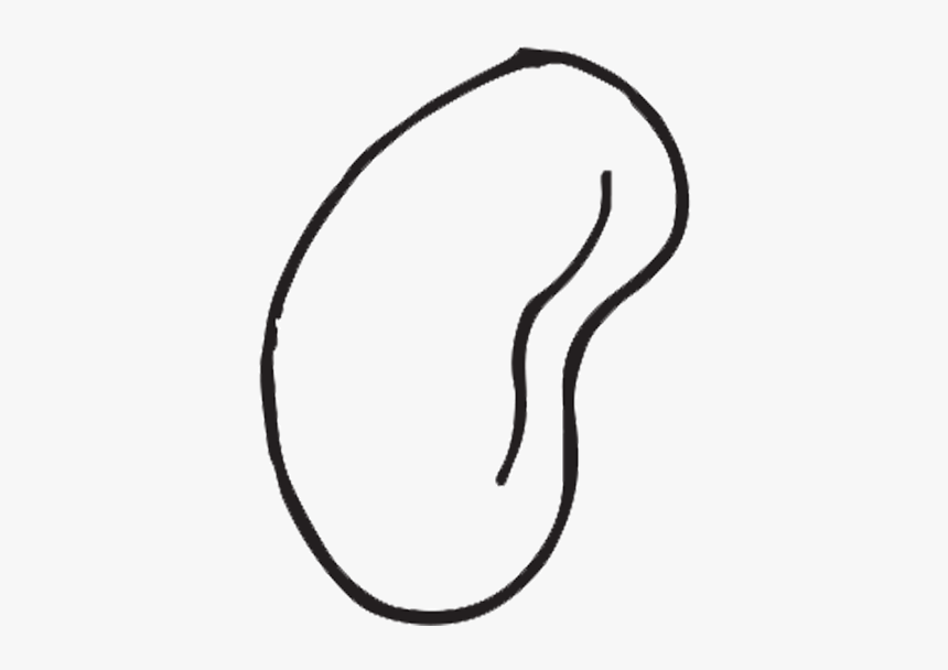 Plant Life Cycle Clipart Black And White, HD Png Download