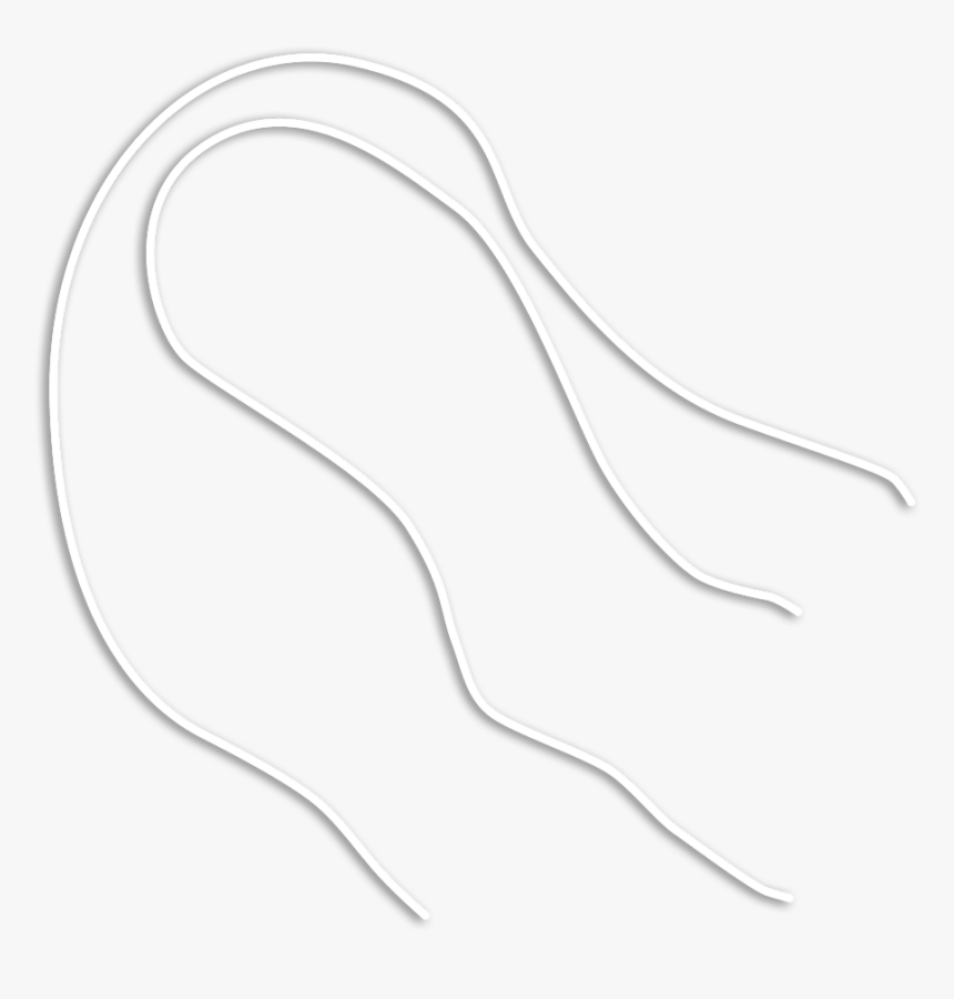 Shsc Snare Cord - Wire, HD Png Download