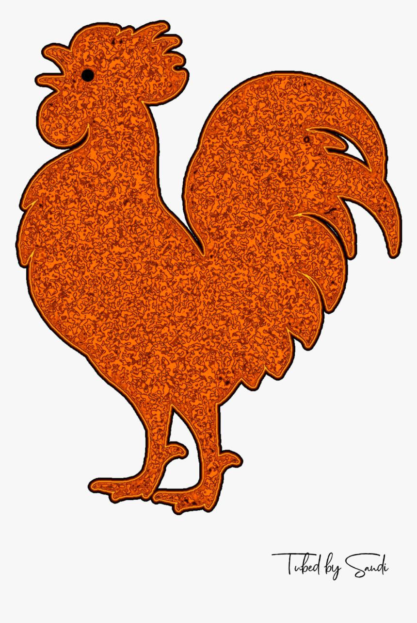 Rooster, HD Png Download