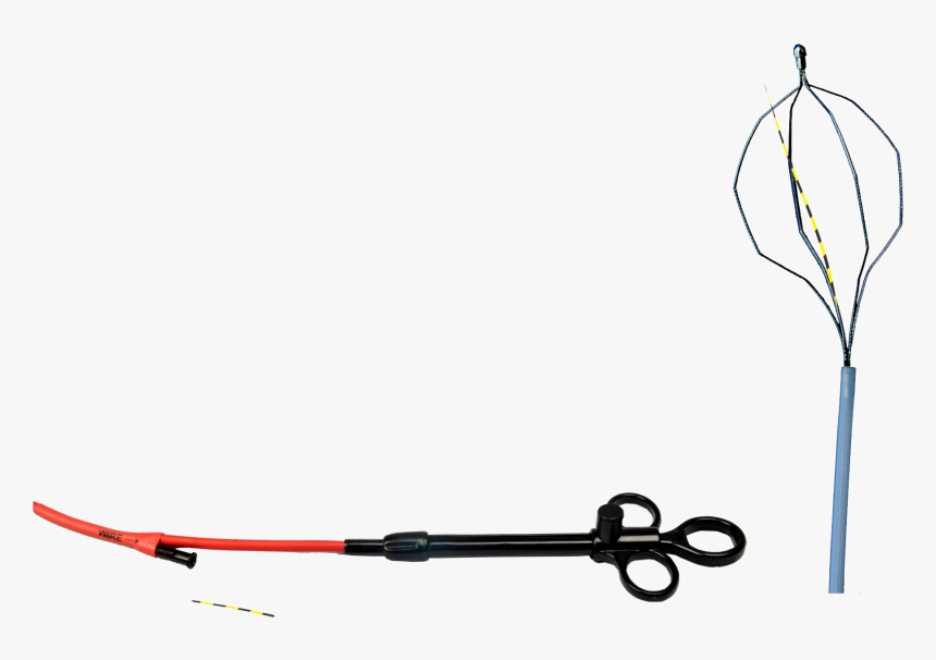 Leash, HD Png Download