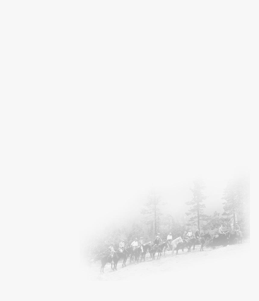 Fog, HD Png Download