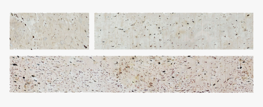 Shelf, HD Png Download
