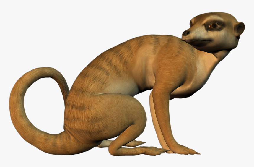Free High Resolution Graphics And Clip Art - Clipart Meerkat, HD Png Download