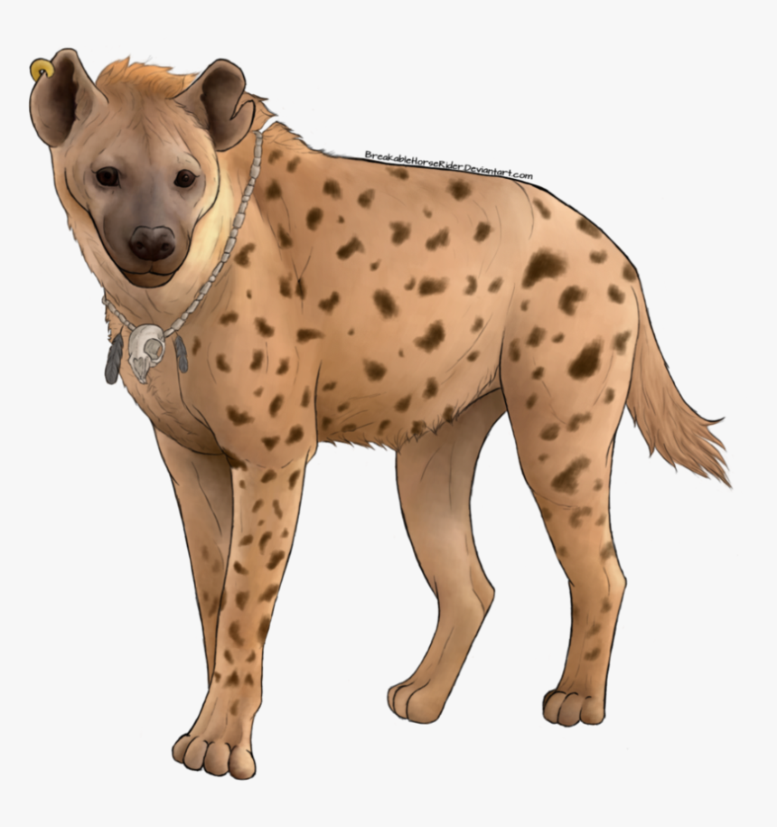 Download Hyena Png Transparent Images Transparent Backgrounds - Hyena Transparent, Png Download