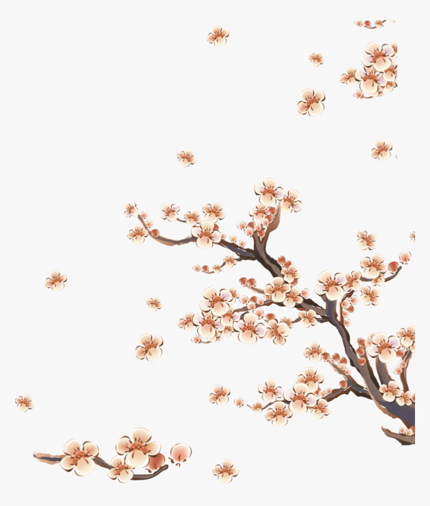 手绘梅花装饰 - Adesivo Árvore Oriental, HD Png Download