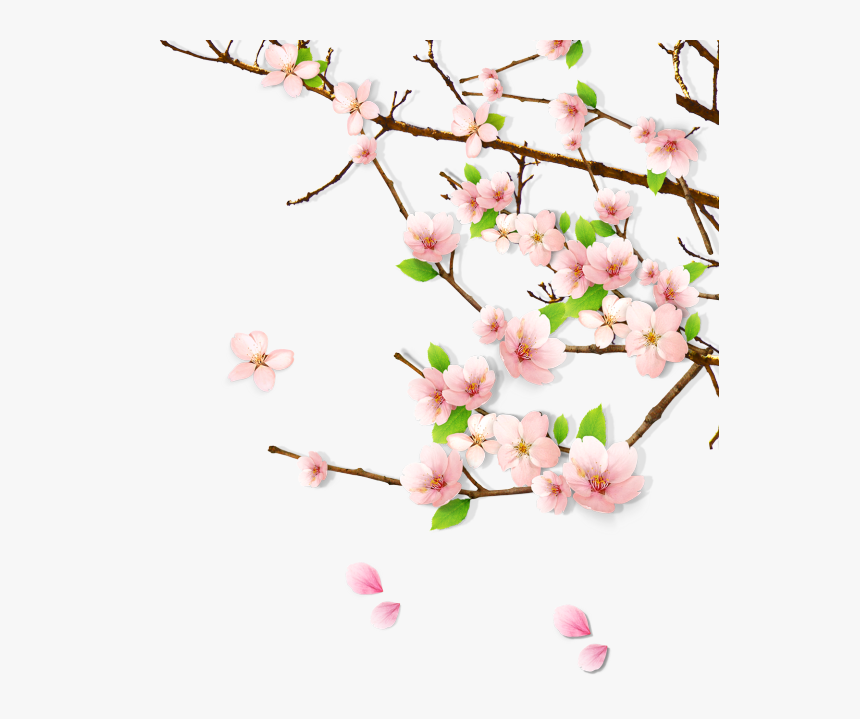 春天绿意桃花桃树枝png素材 - Spring Peach Blossom, Transparent Png